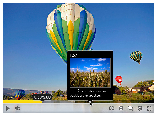 Screenshot of the Floe video player, with frame and caption preview on hover over the scrub bar